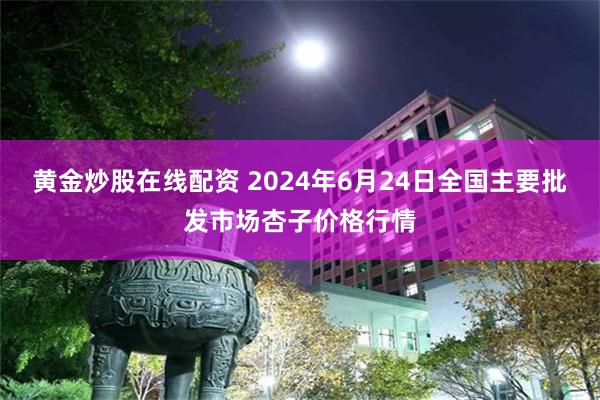 黄金炒股在线配资 2024年6月24日全国主要批发市场杏子价格行情