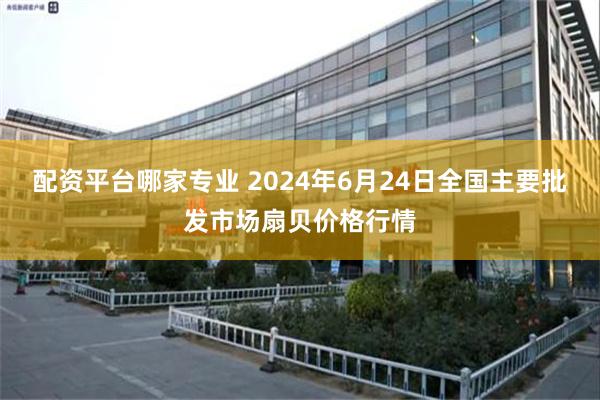 配资平台哪家专业 2024年6月24日全国主要批发市场扇贝价格行情