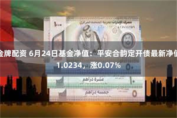 金牌配资 6月24日基金净值：平安合韵定开债最新净值1.0234，涨0.07%