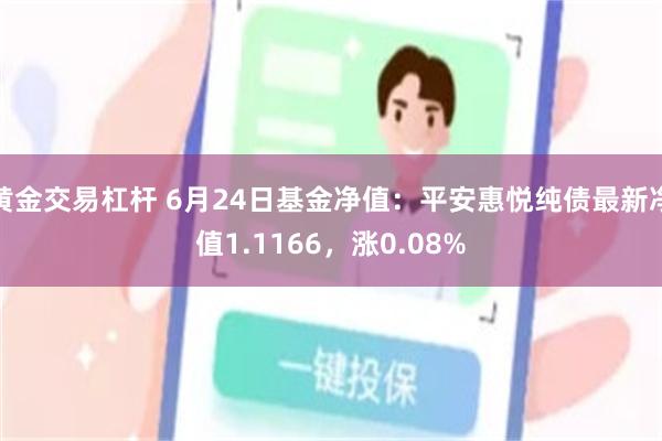 黄金交易杠杆 6月24日基金净值：平安惠悦纯债最新净值1.1166，涨0.08%