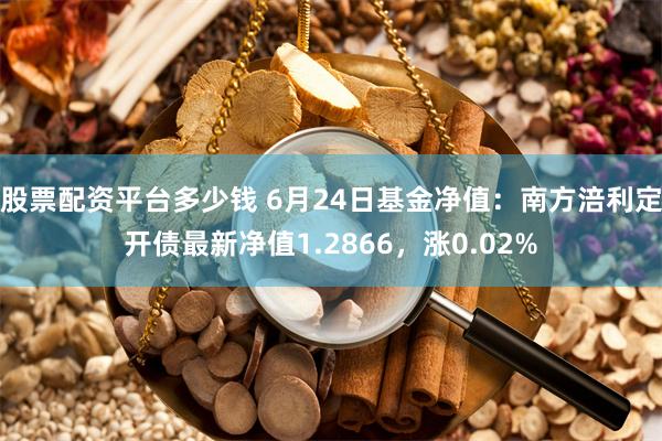 股票配资平台多少钱 6月24日基金净值：南方涪利定开债最新净值1.2866，涨0.02%