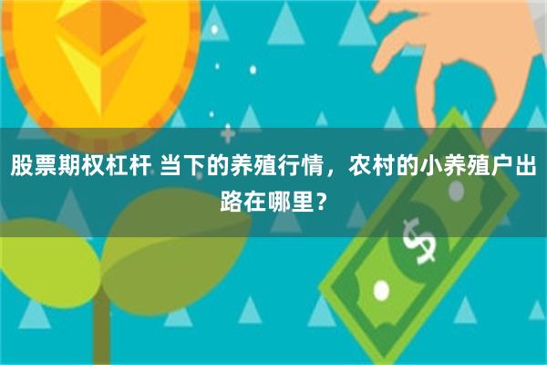 股票期权杠杆 当下的养殖行情，农村的小养殖户出路在哪里？