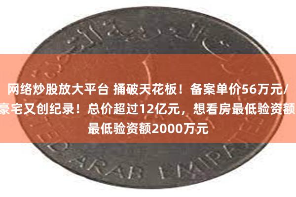 网络炒股放大平台 捅破天花板！备案单价56万元/m ，广州豪宅又创纪录！总价超过12亿元，想看房最低验资额2000万元