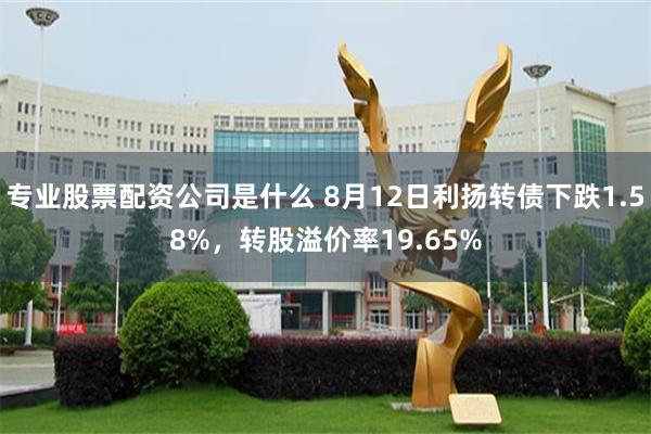 专业股票配资公司是什么 8月12日利扬转债下跌1.58%，转股溢价率19.65%