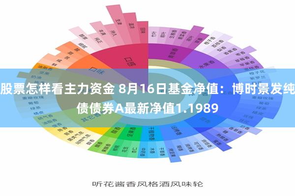 股票怎样看主力资金 8月16日基金净值：博时景发纯债债券A最新净值1.1989