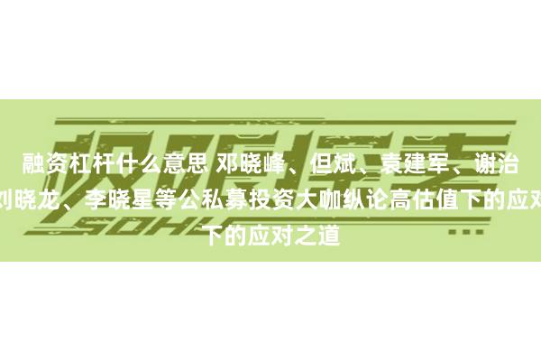 融资杠杆什么意思 邓晓峰、但斌、袁建军、谢治宇、刘晓龙、李晓星等公私募投资大咖纵论高估值下的应对之道