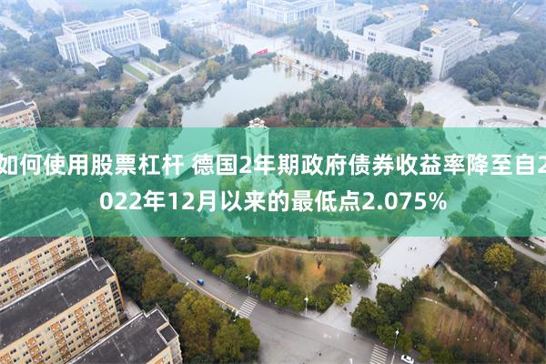 如何使用股票杠杆 德国2年期政府债券收益率降至自2022年12月以来的最低点2.075%