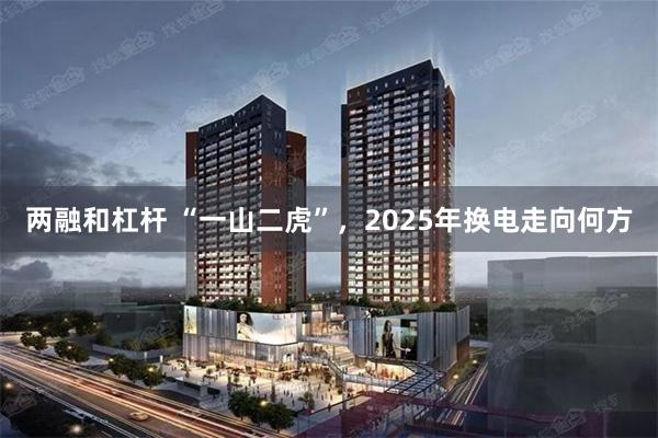 两融和杠杆 “一山二虎”，2025年换电走向何方