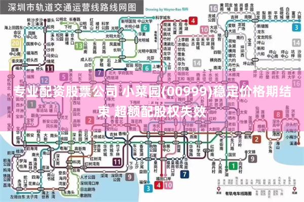 专业配资股票公司 小菜园(00999)稳定价格期结束 超额配股权失效