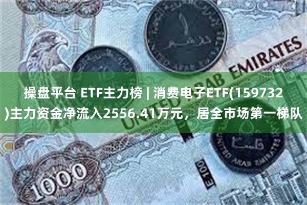 操盘平台 ETF主力榜 | 消费电子ETF(159732)主力资金净流入2556.41万元，居全市场第一梯队