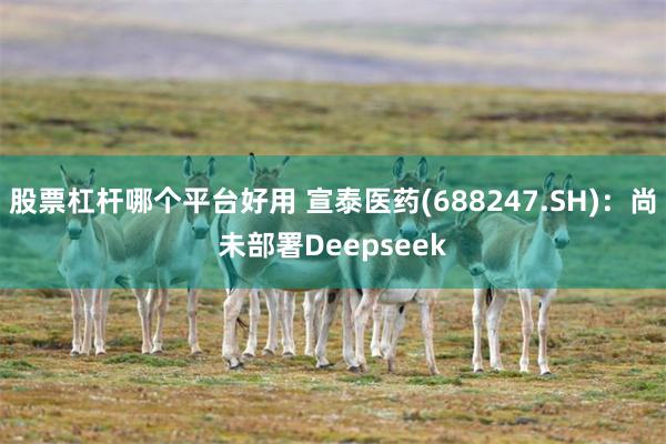 股票杠杆哪个平台好用 宣泰医药(688247.SH)：尚未部署Deepseek